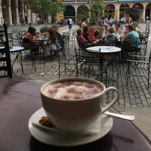 [여행하는장바구니]쿠바 붉은섬 커피