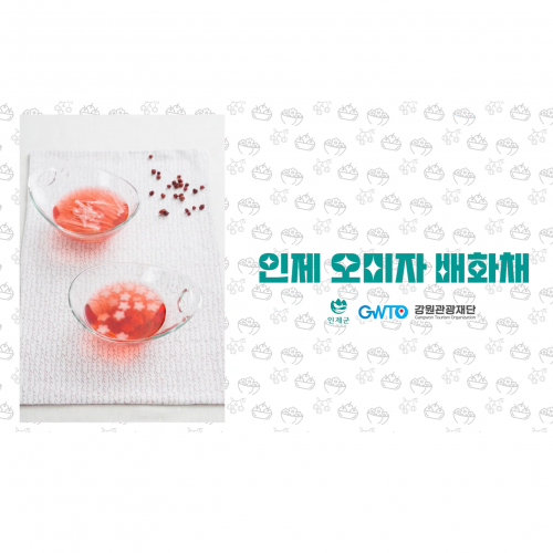  [강원관광재단] 인제 오미자 배화채